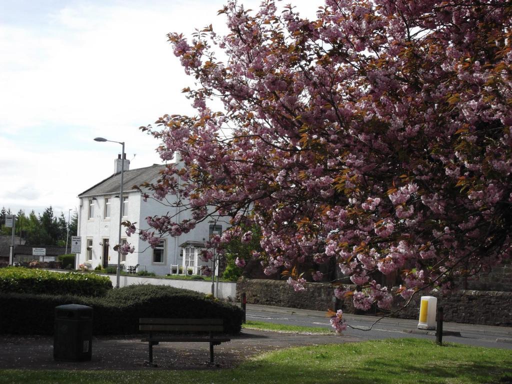 Kirkcroft Guest House Gretna Bagian luar foto